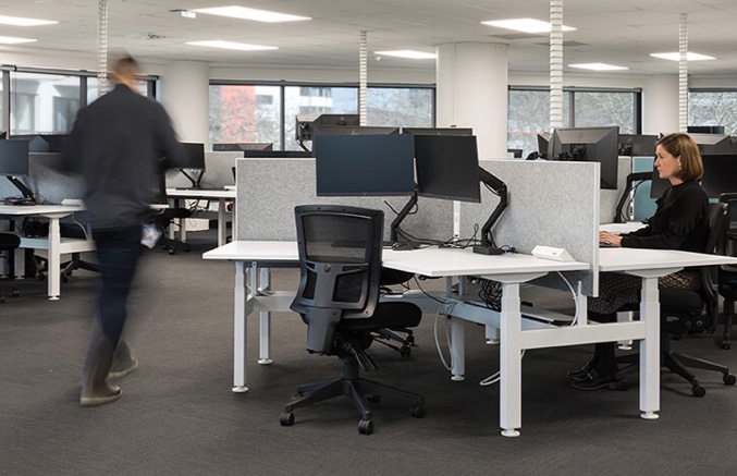 buro-case-study-stats-nz-2
