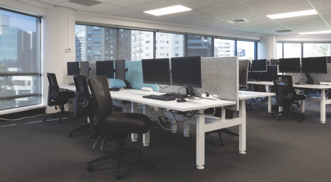 buro-case-study-stats-nz-3