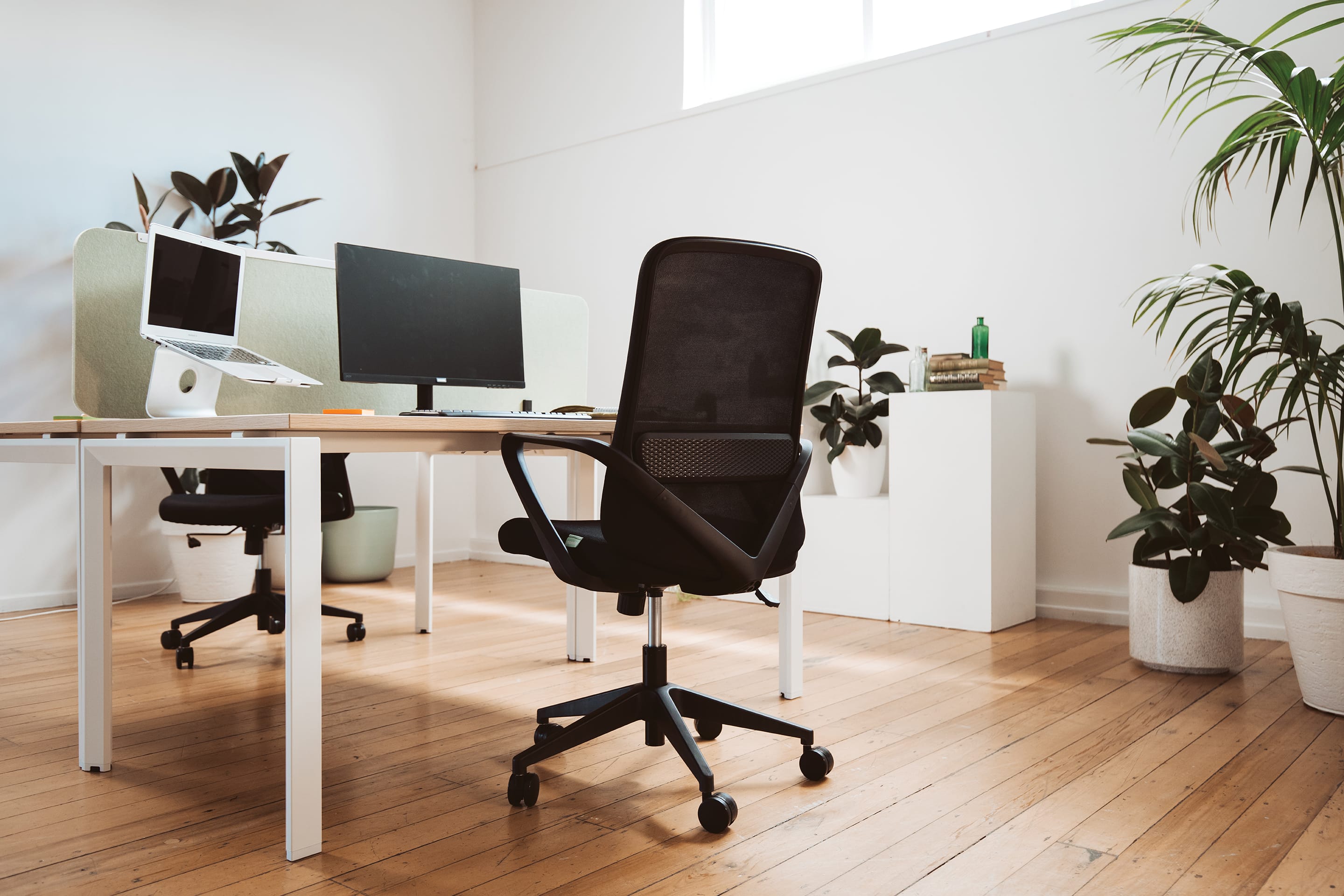 Mondo Mistral_798A-M3_Scene_Office_11_LR Mondo Mistral Biophillic Office Design