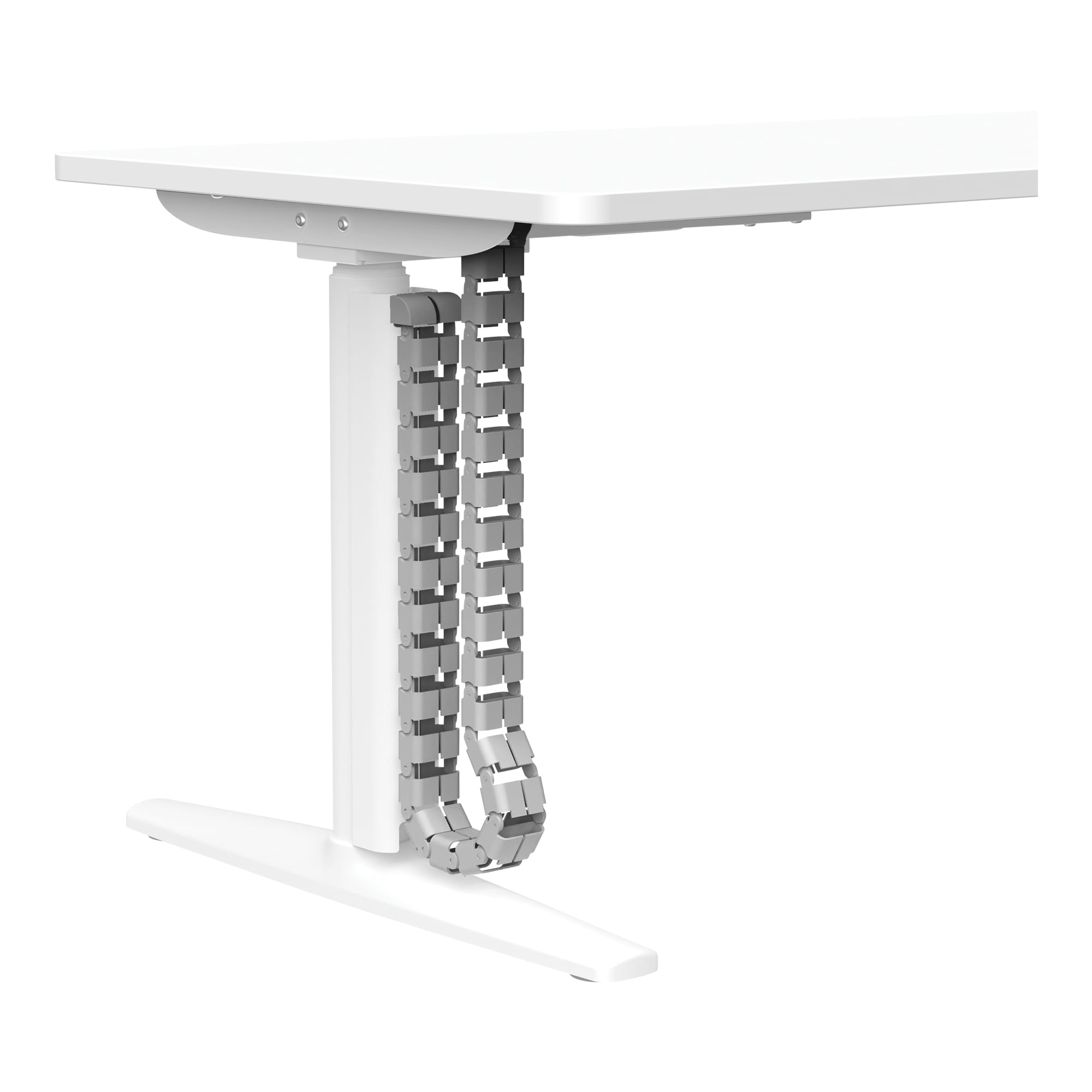 Buro Syntra Single Height Adjustable Desk 1500x750 white cable spine close up
