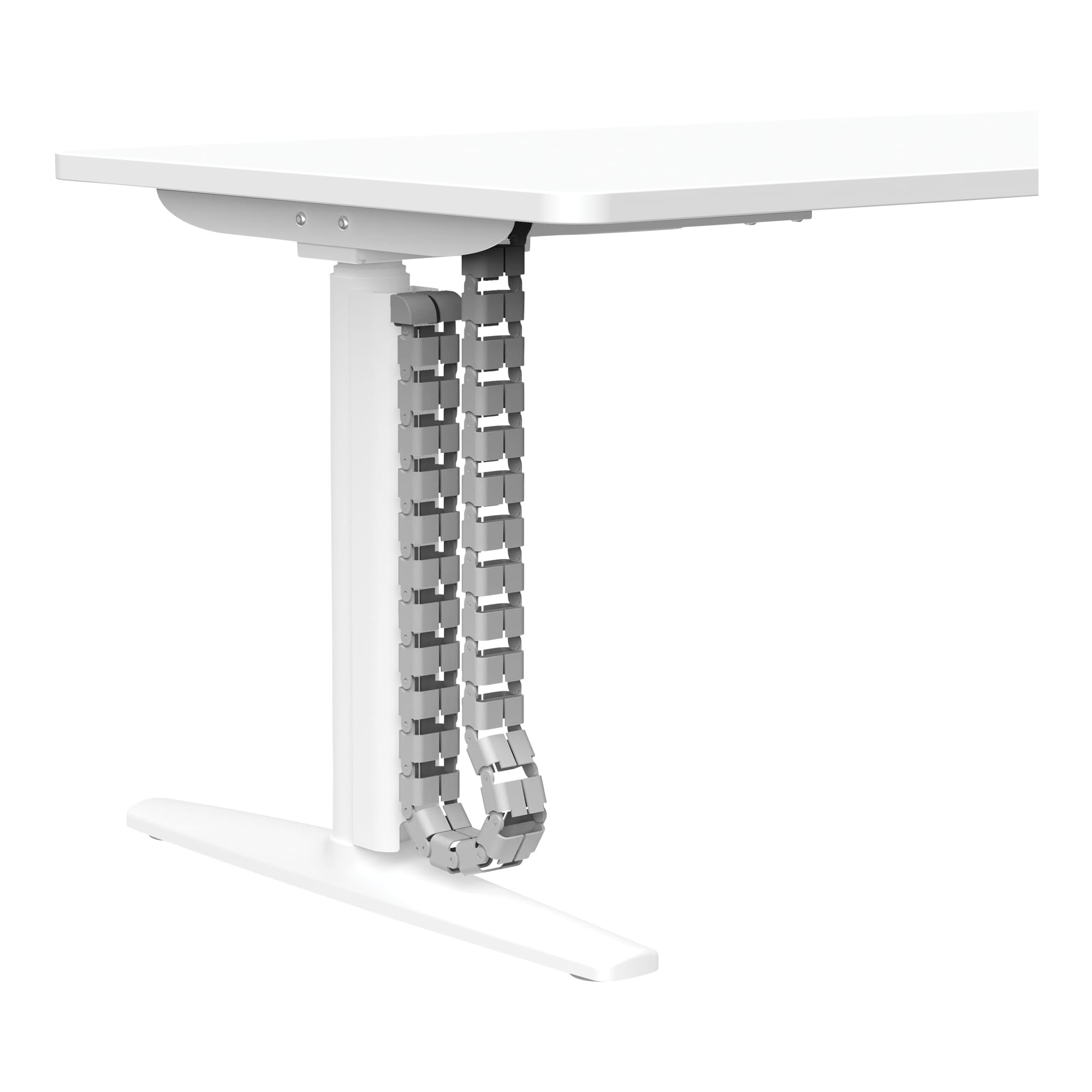 Buro Syntra Single Height Adjustable Desk white cable spine