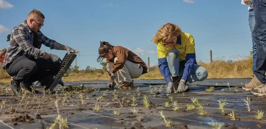 environmental-impact People planting seedlings in a rural field on a sunny day